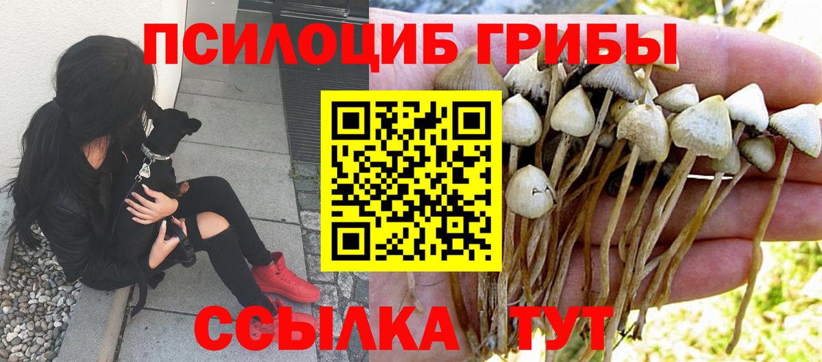 Псилоцибиновые грибы прущие грибы  Вход с VPN  купить закладку  Нижний Тагил 