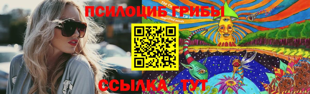 Псилоцибиновые грибы MAGIC MUSHROOMS Нижний Тагил